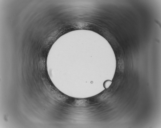X0000103910461200810171709