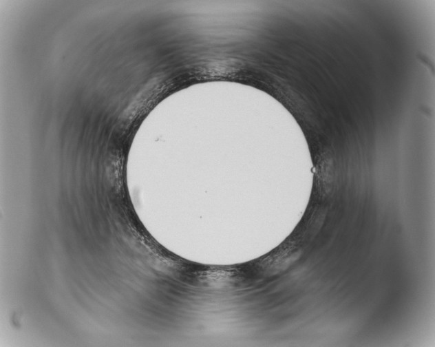 X0000103910462200810171709