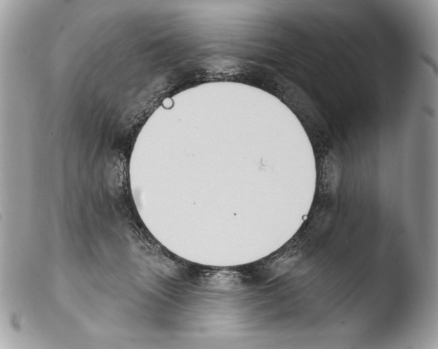 X0000103910463200810171709
