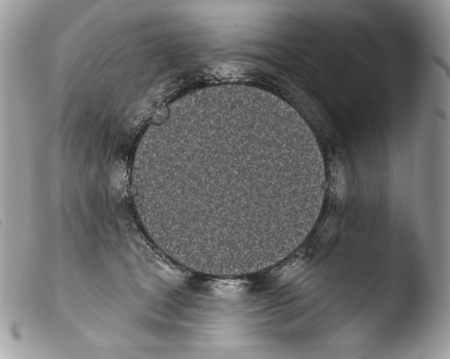 X0000103910465200810171709