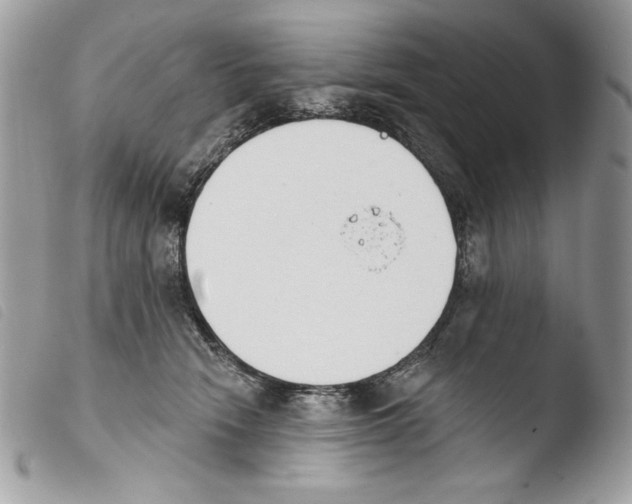 X0000103910466200810171709
