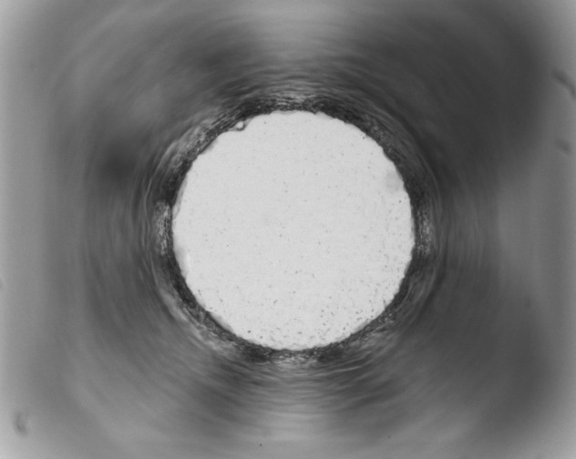 X0000103910468200810171709