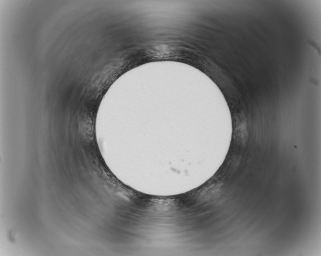 X0000103910469200810171709