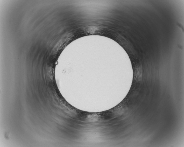 X0000103910470200810171709