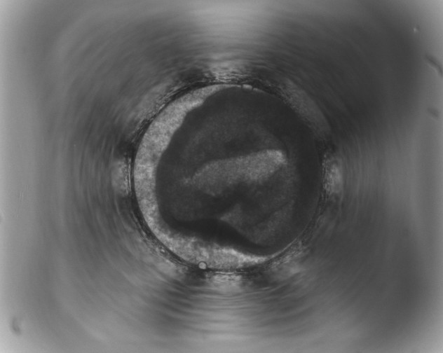 X0000103910471200810171709