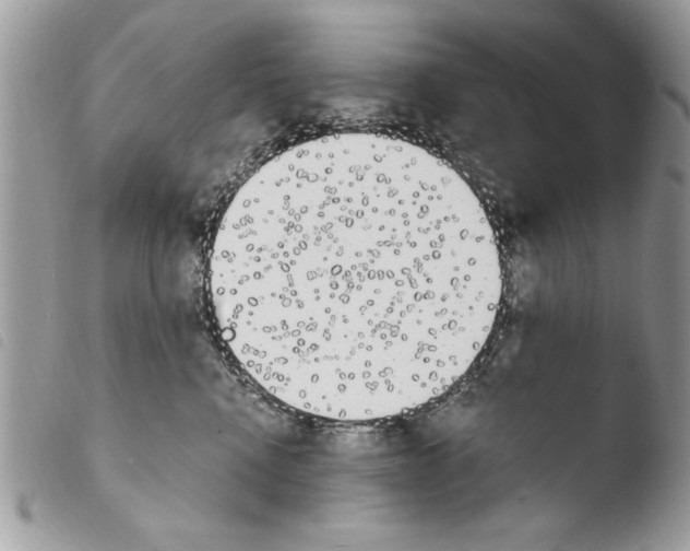X0000103910472200810171709
