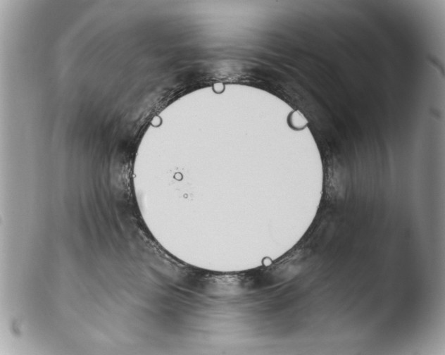 X0000103910473200810171709