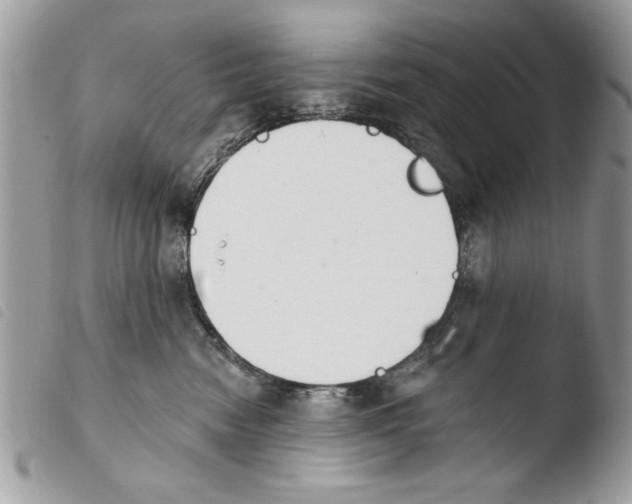 X0000103910474200810171709