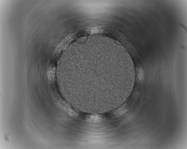 X0000103910475200810171709