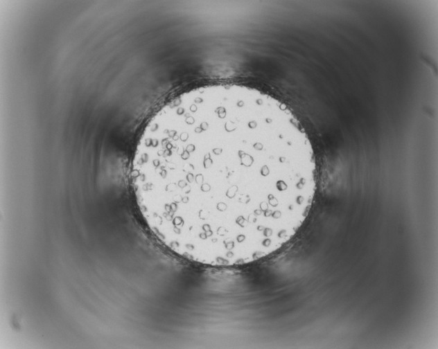 X0000103910476200810171709
