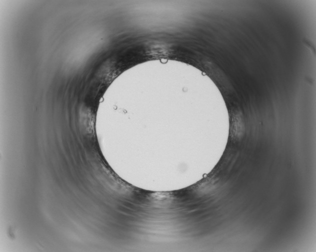 X0000103910477200810171709