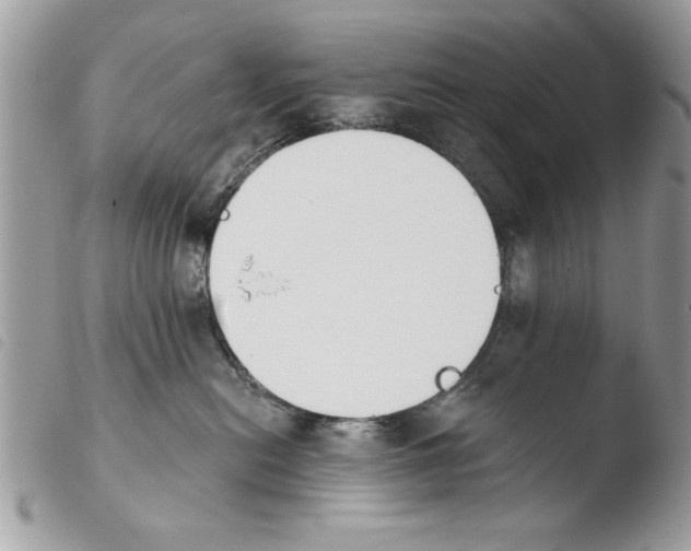 X0000103910478200810171709