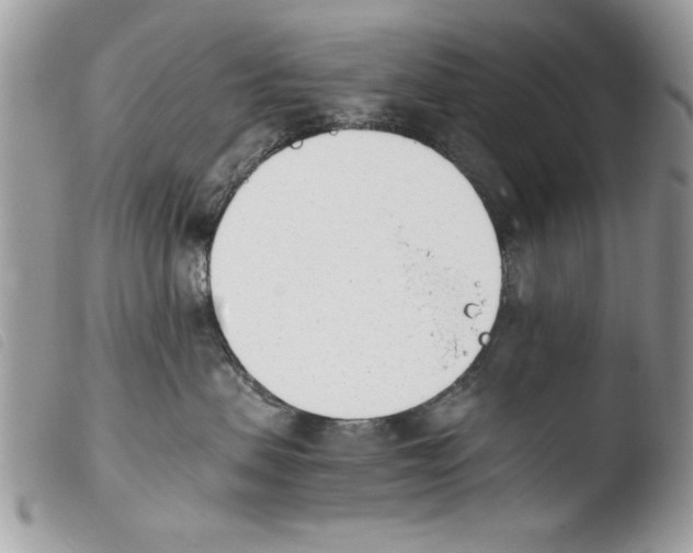 X0000103910479200810171709