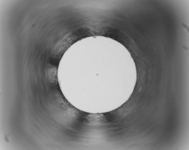 X0000103910480200810171709