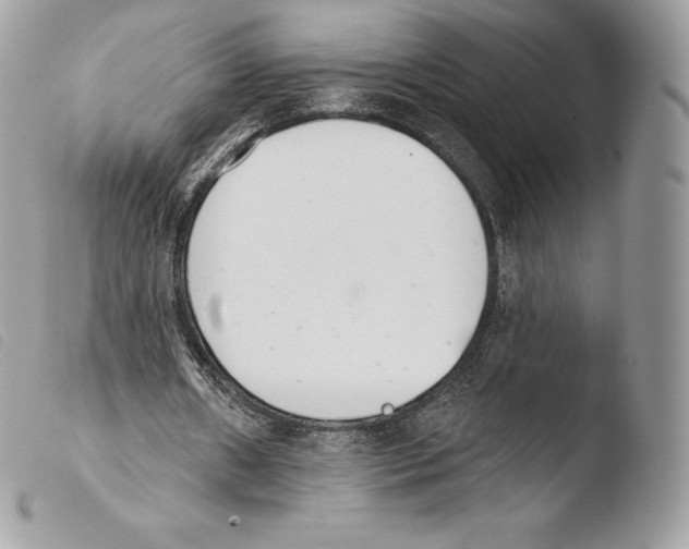 X0000103910482200810171708