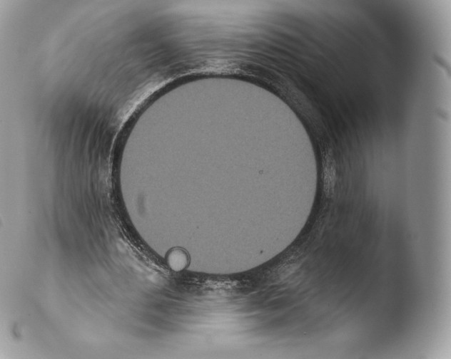 X0000103910484200810171708