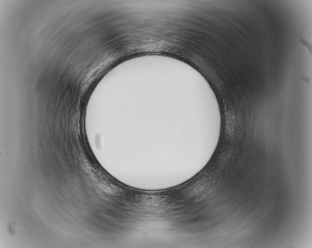 X0000103910486200810171708