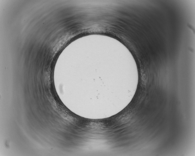X0000103910487200810171708