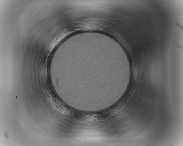 X0000103910488200810171708