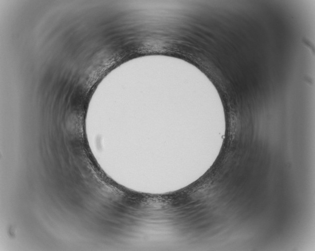 X0000103910489200810171708