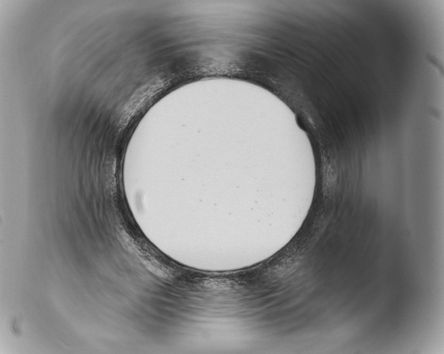 X0000103910490200810171708