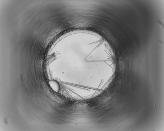 X0000103910491200810171708