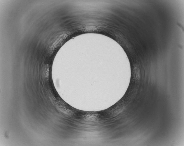 X0000103910495200810171708