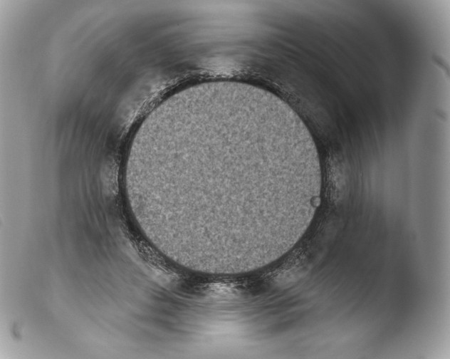 X0000103910496200810171708