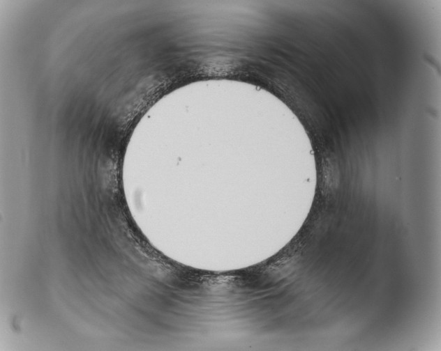 X0000103910497200810171708