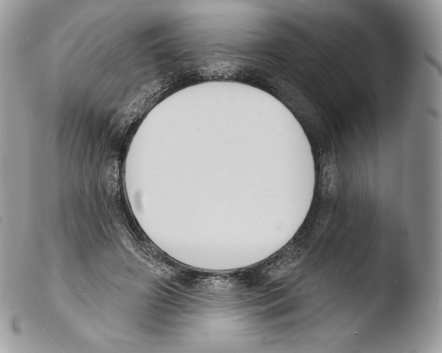 X0000103910498200810171708