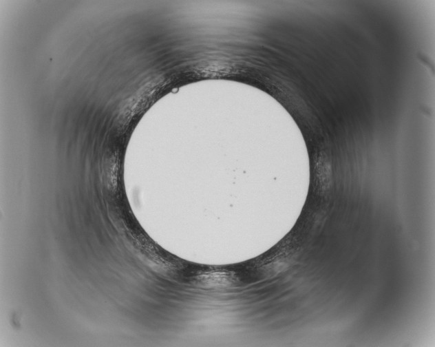 X0000103910499200810171708