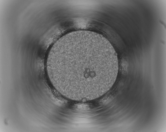 X0000103910500200810171708