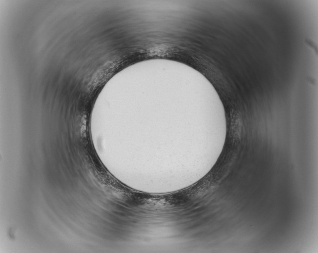 X0000103910502200810171708