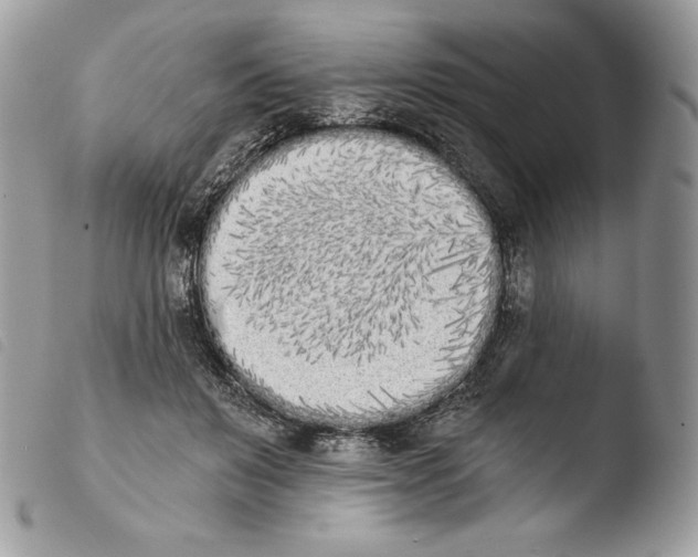 X0000103910503200810171708