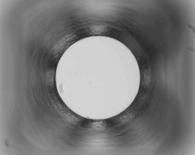 X0000103910505200810171708