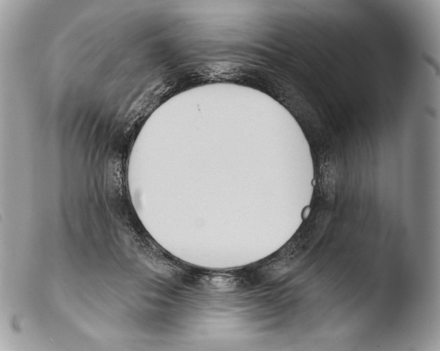 X0000103910506200810171708