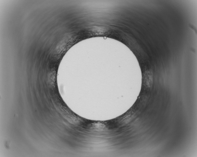 X0000103910509200810171708