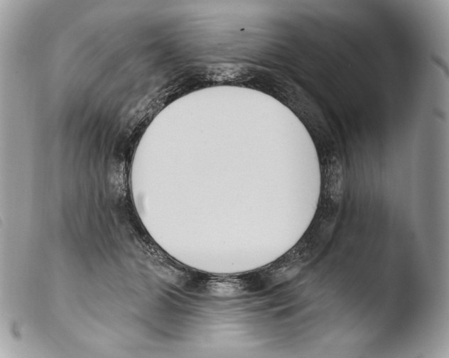 X0000103910510200810171708