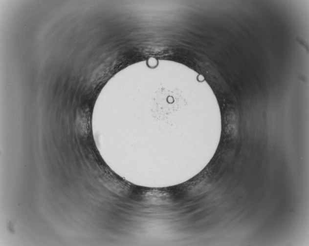 X0000103910515200810171708