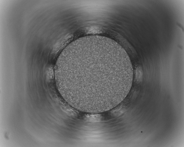 X0000103910517200810171708