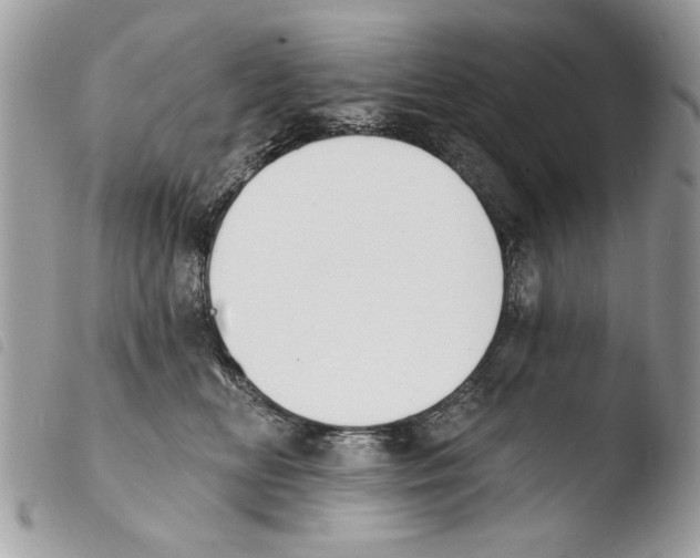 X0000103910518200810171708