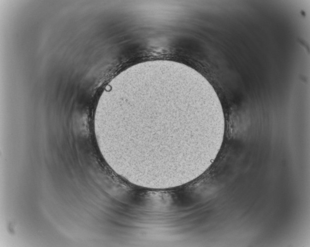 X0000103910520200810171708