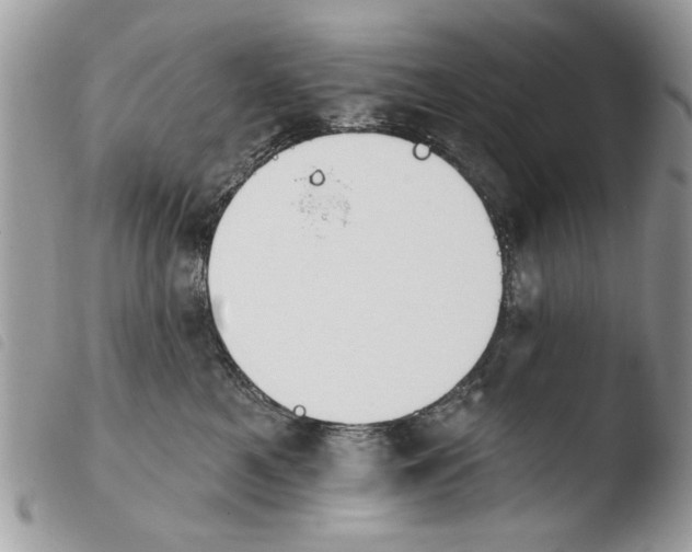 X0000103910521200810171708