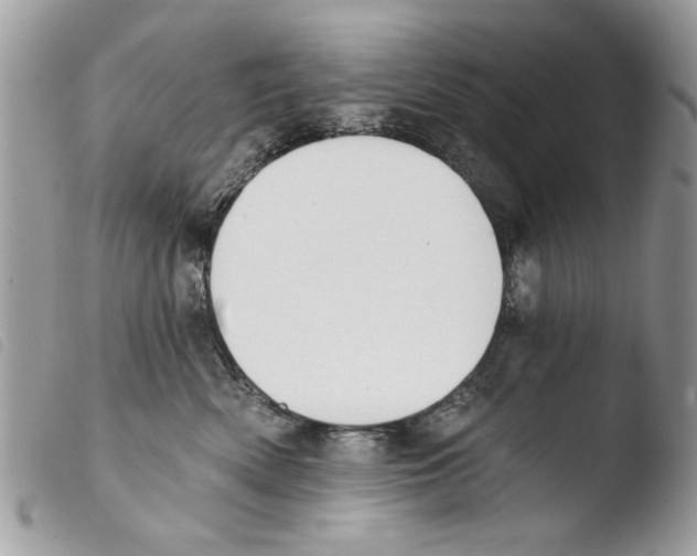 X0000103910522200810171708
