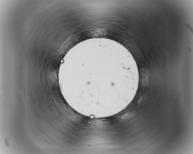 X0000103910523200810171708