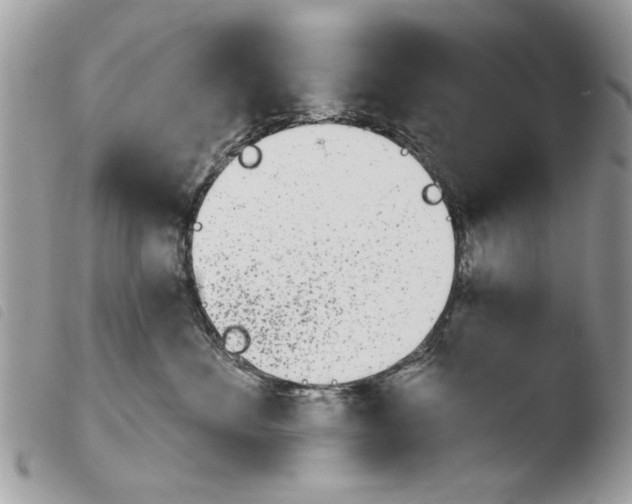 X0000103910524200810171708