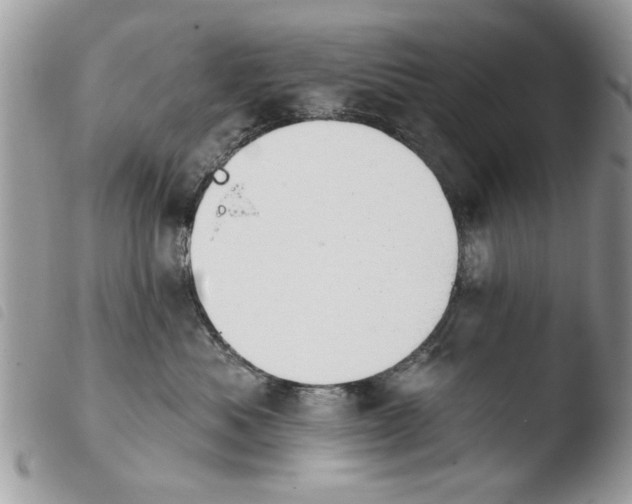 X0000103910525200810171708
