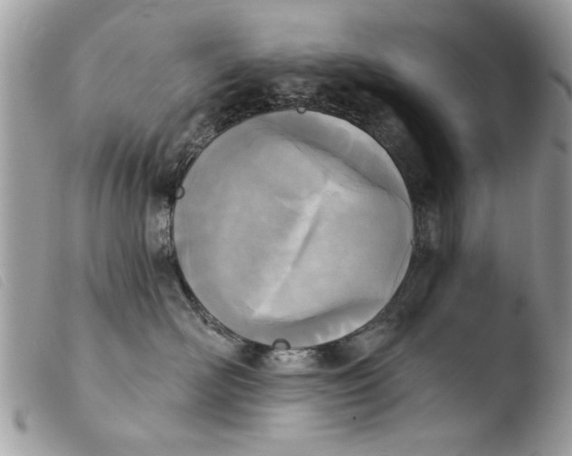 X0000103910526200810171708