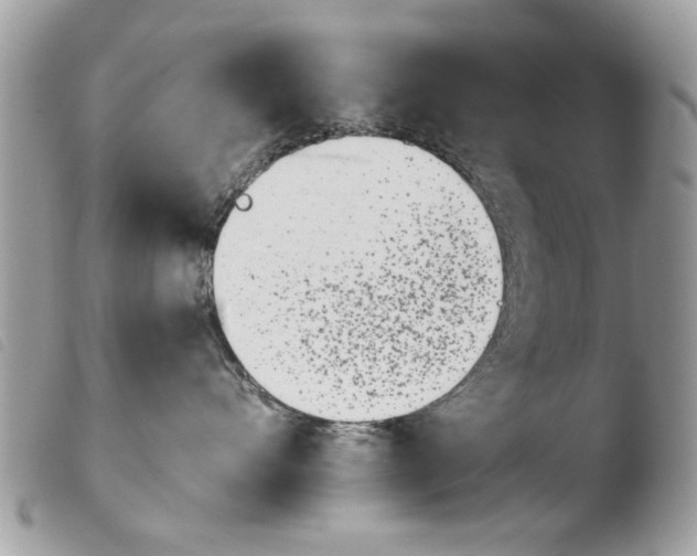 X0000103910528200810171708
