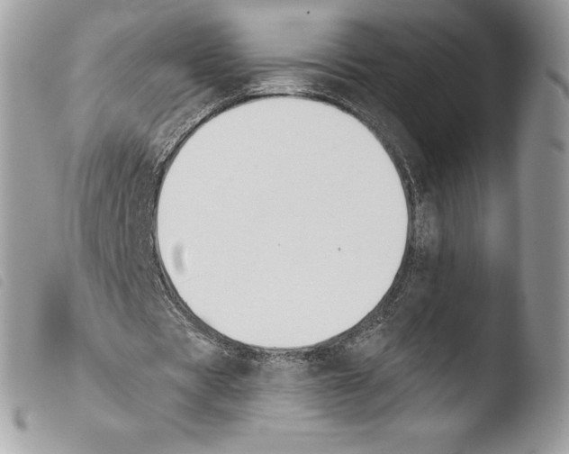 X0000103910529200810171707